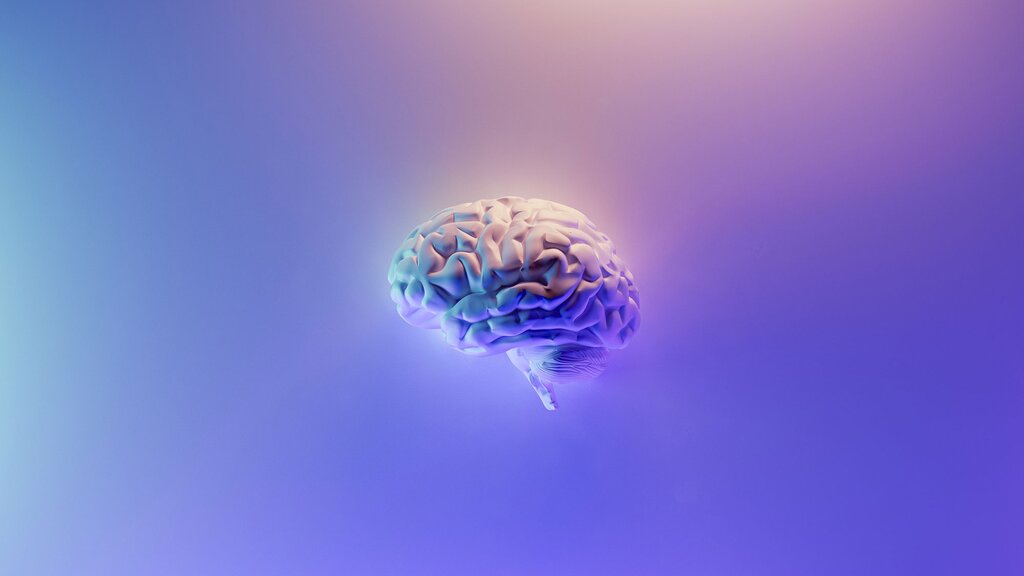 Les effets des oméga-3 sur le cerveau
